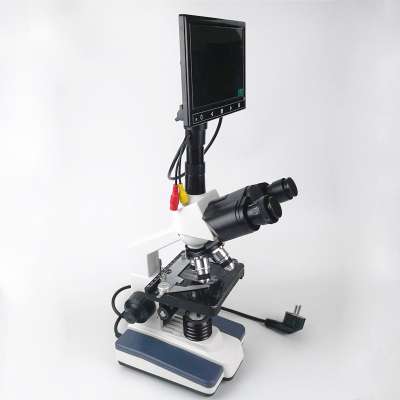 artificial insemination pigs av microscope binocular assistant tube microscope